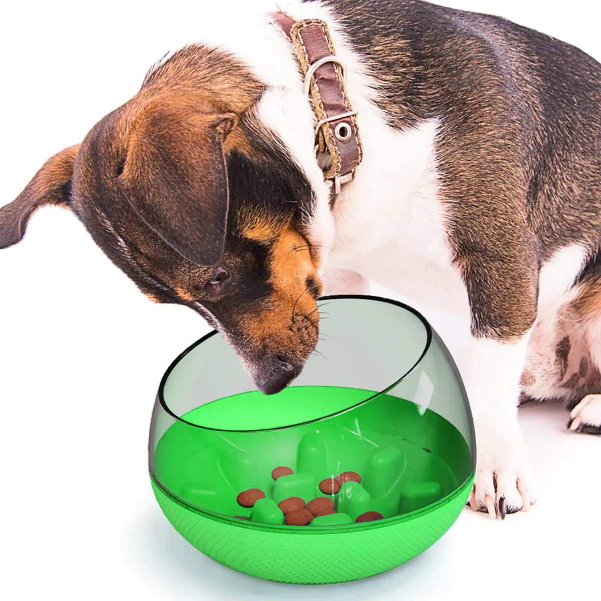 Petaurapets Slow Feed Dog Bowl with Anti-Choke Design for Pets