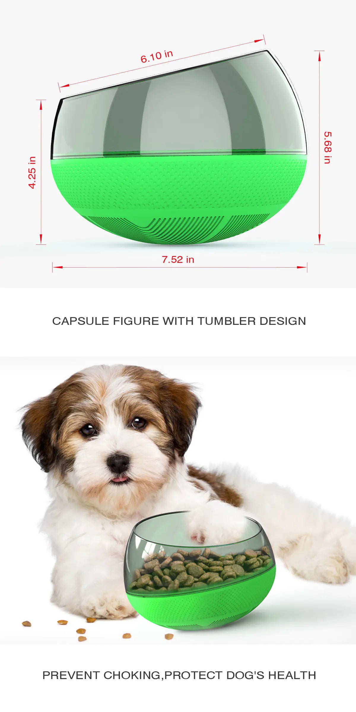 Petaurapets Slow Feed Dog Bowl with Anti-Choke Design for Pets