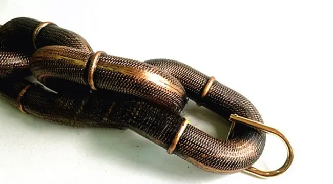 Petaurapets Iron Chain Dog Leash