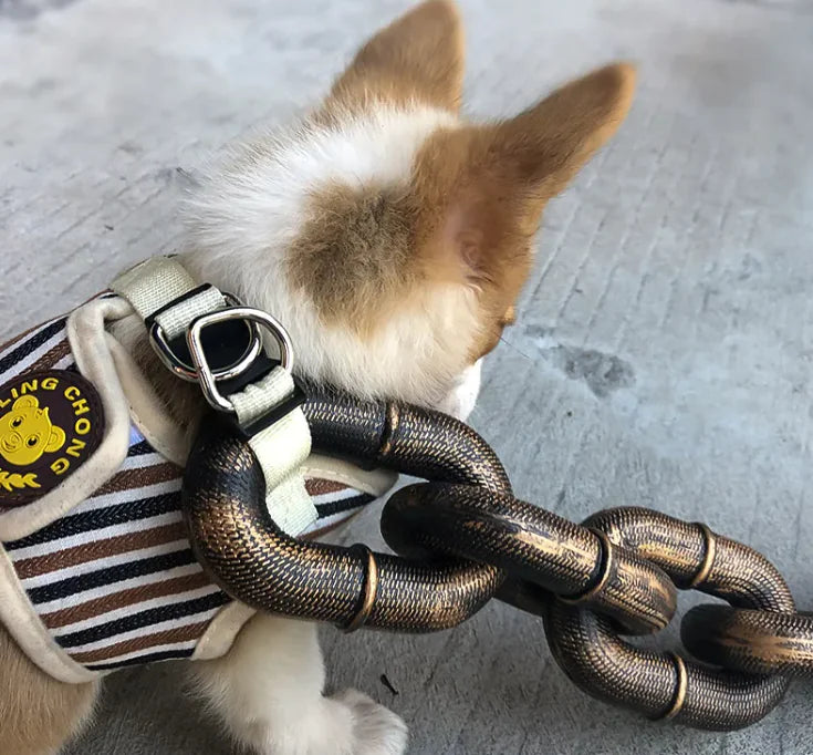 Petaurapets Iron Chain Dog Leash