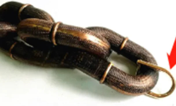 Petaurapets Iron Chain Dog Leash