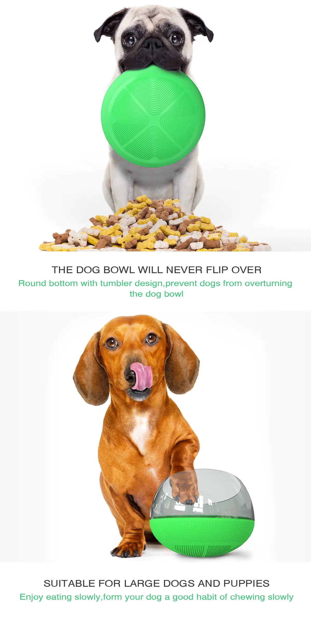 Petaurapets Slow Feed Dog Bowl with Anti-Choke Design for Pets
