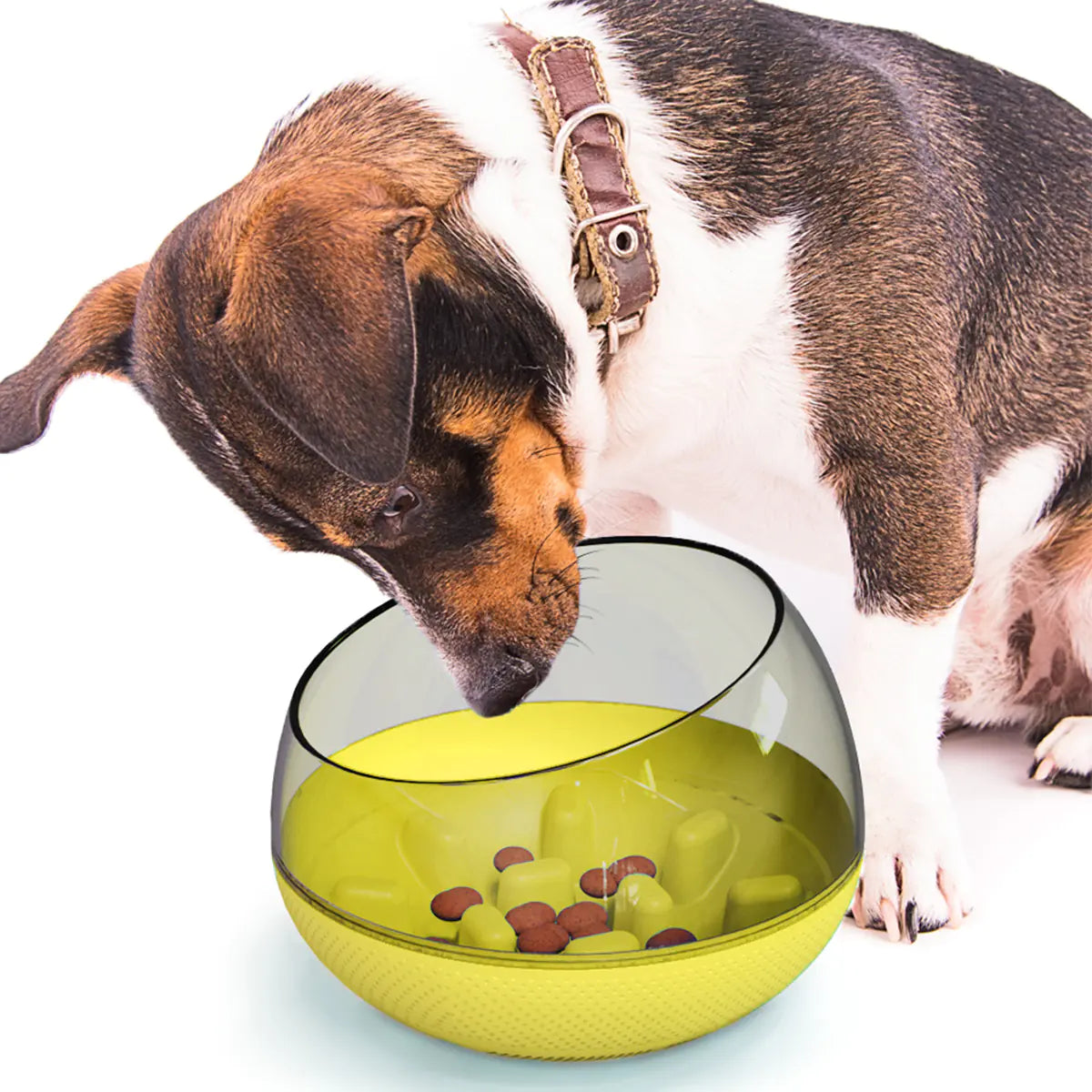 Petaurapets Slow Feed Dog Bowl with Anti-Choke Design for Pets