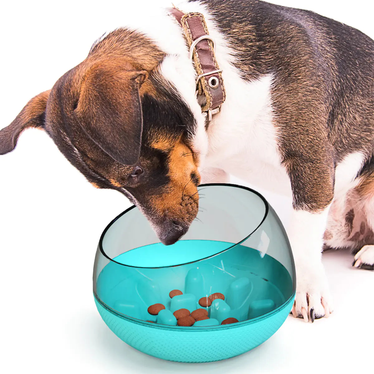 Petaurapets Slow Feed Dog Bowl with Anti-Choke Design for Pets