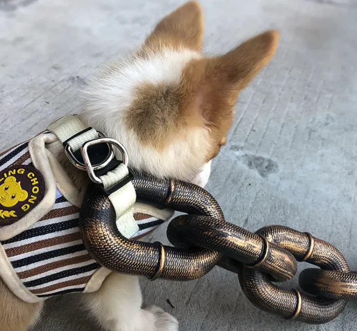 Petaurapets Iron Chain Dog Leash