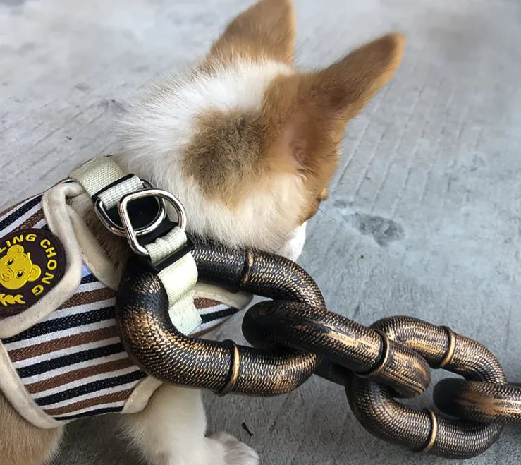 Petaurapets Iron Chain Dog Leash