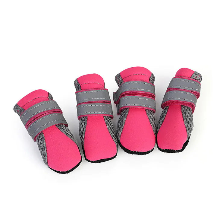 Petaurapets Petaurapets Dog Walking Sneakers