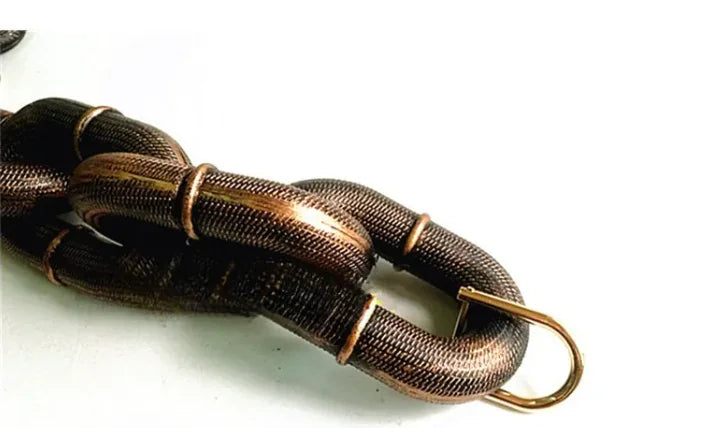 Petaurapets Iron Chain Dog Leash